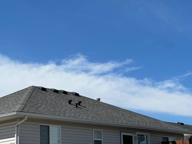 Best Chimney Flashing Repair  in Shenandoah, TX